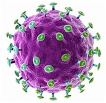 Che cosa è papillomavirus umano infezione